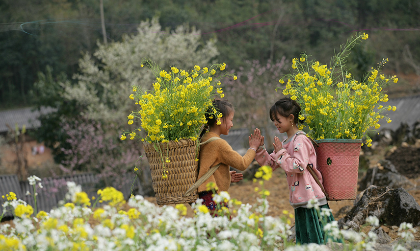 Chất lượng không khí và hơi thở